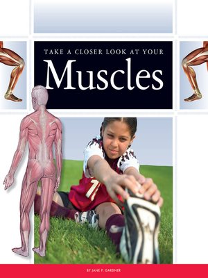 cover image of Take a Closer Look at Your Muscles